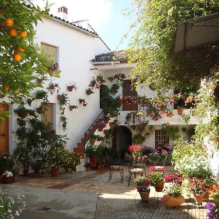 Mirador De Hotel Montoro
